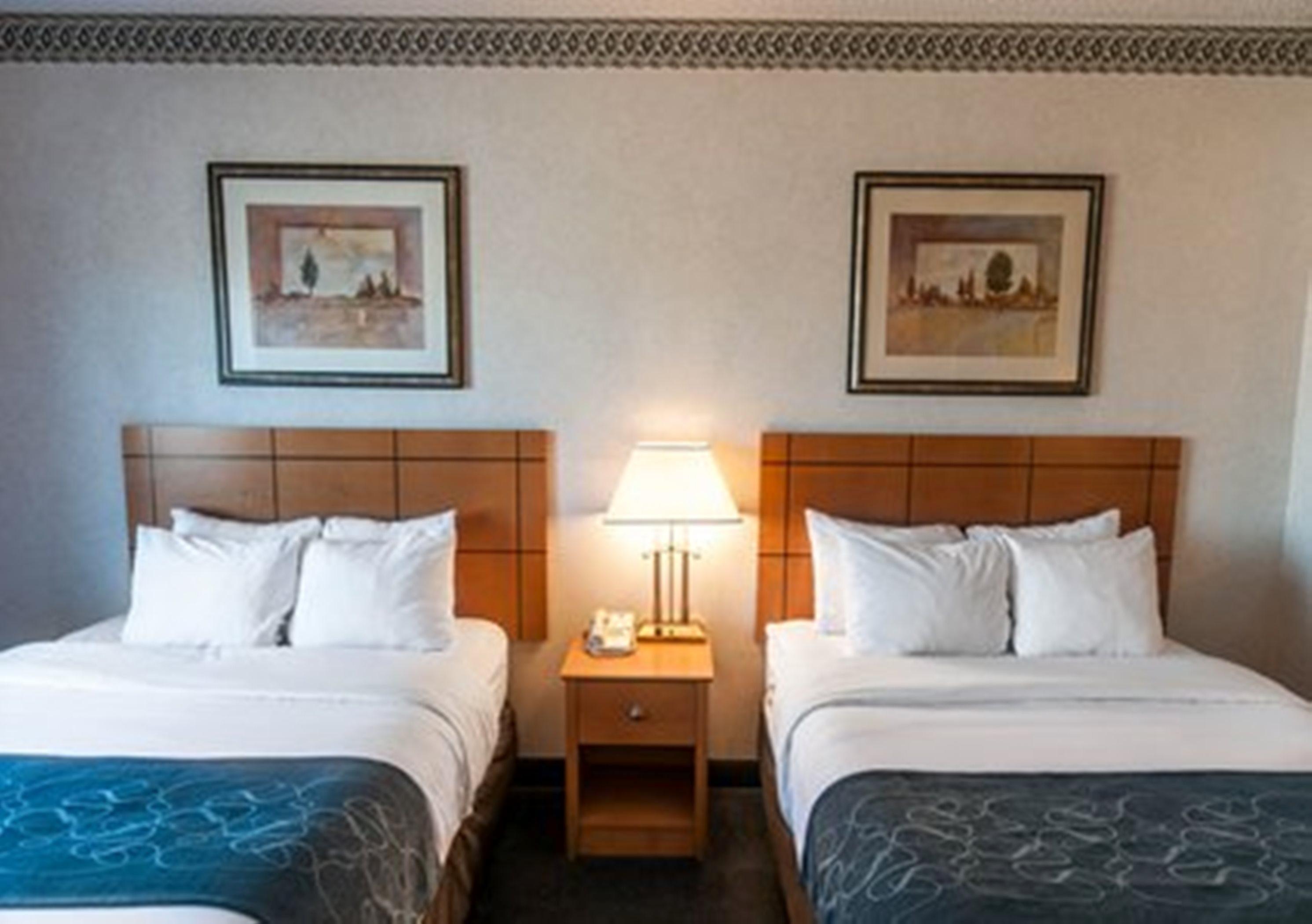 Comfort Suites University Las Cruces Dış mekan fotoğraf